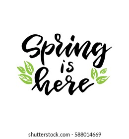 Spring is here. Hand drawn poster with hand lettering.