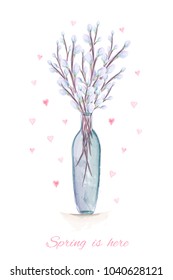 Spring is here hand drawn watercolor illustration with pussy willow branches in the vase for greeting card.