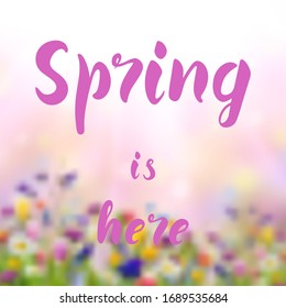 Spring is here hand lettering text on floral nature background for greeting card or banner. Vector 10 EPS