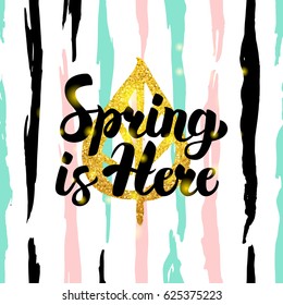 Spring is Here Handdrawn Card. Vector Illustration of Nature Trendy Postcard with Calligraphy.