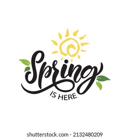 Spring is here handwritten text and green leaves. Trendy script lettering design. Modern brush calligraphy isolated on white background. Vector illustration for logotype, icon, card, invitation, flyer