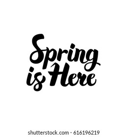 Spring is Here Lettering. Vector Illustration of Brushpen Calligraphy Isolated over White Background.