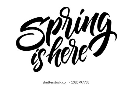 Spring is here lettering lettering vector. Modern style brush calligraphy banner. March decoration sign. Handwritten t shirt insription. Hello to season greeting. decorative fashion print element