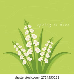 A primavera é aqui lírio das flores do vale sobre fundo verde ilustração vetor plana.