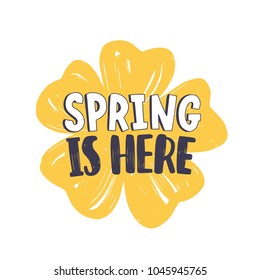 Spring Is Here phrase handwritten with modern calligraphic font or script on yellow blooming flower isolated on white background. Springtime seasonal inspiring slogan. Hand drawn vector illustration.