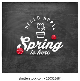 Spring is Here Typography Background on Chalkboard