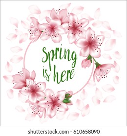 Spring is here vector card or banner with japanese cherry blossom. Pink sakura flowers wreath, round frame, border for green text. Flying petals on white background. Seasonal poster with tree blooming