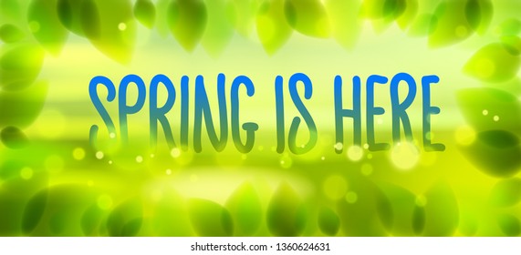 Spring is here words hand written, fresh green leaves blurred background, vector realistic illustration, pure nature beautiful art.