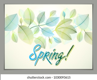 Spring horizontal banner design, vector green and fresh leaves floral beautiful background, Spring Sale, advertising poster, brochure or flyer design. Stylish classy botanical drawing, environment.
