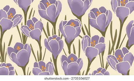 Spring Horizontal Banner With Purple Blooming Primroses Crocuses. Hand draw Primroses With texture for the design of greeting cards, posters for Mother's Day, Women's Day and seasonal spring backdrop