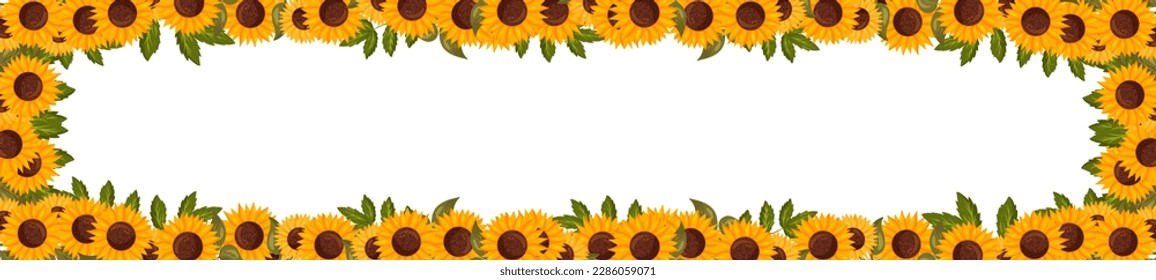 Spring horizontal border with sunflower flowers. Summer vector banner isolated white background cartoon style.