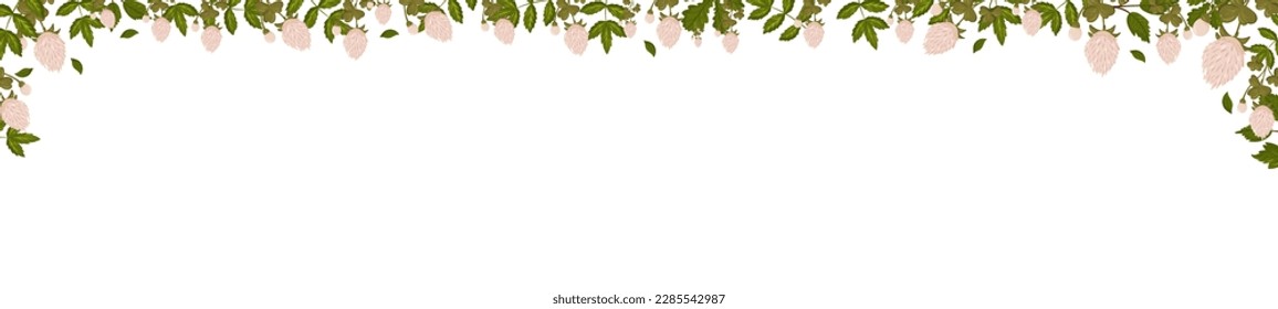 Spring horizontal frame with clover flowers, shamrock and leaves. Summer vector banner isolated white background cartoon style.