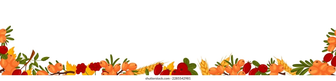 Spring horizontal frame with sea buckthorn berries, rosehip, cranberries, wheat branches and leaves. Summer vector banner isolated white background cartoon style.