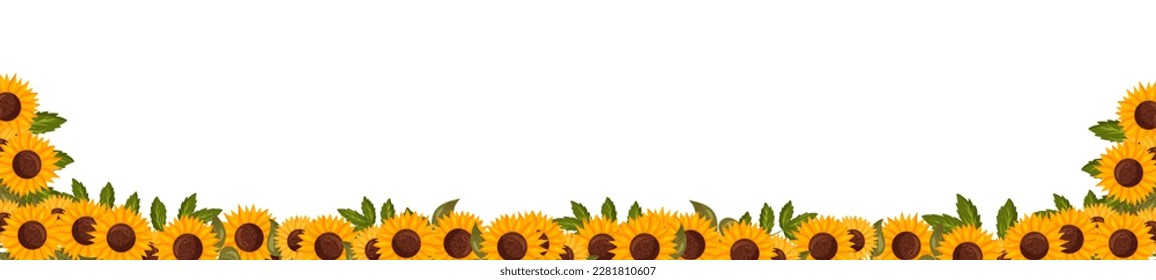Spring horizontal frame with sunflower flowers. Summer vector banner isolated white background cartoon style.