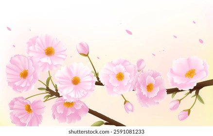 Spring horizontal illustrations design pink cherry blossoms