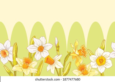 Spring, horizontal, seamless pattern with narcissus flowers. Vector illustration in a flat style.