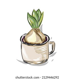 
bombilla de jacinto de primavera crece en una taza