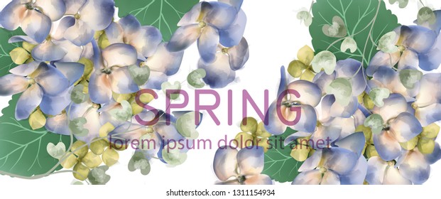 Spring hydrangea banner Vector watercolor. Romantic floral invitation or greeting card decoration. Women day, Valentines Day, sales and other events with little white flowers
