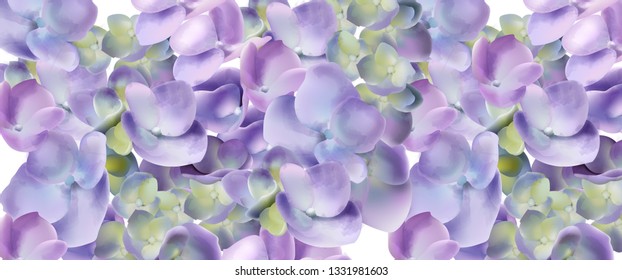 Spring hydrangea flowers watercolor background Vector. Romantic floral invitation or greeting card decoration. Women day, Valentines Day, sales and other events