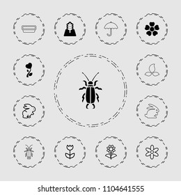 Spring icon. collection of 13 spring filled and outline icons such as heart flower, tree, rabbit, flower, beetle, umbrella. editable spring icons for web and mobile.