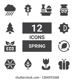 spring icon set. Collection of 12 filled spring icons included Butterfly, Tulip, Leaf, Umbrella, Eco, Brightness, Vase, Pine, Rain
