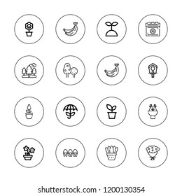 Spring icon set. collection of 16 outline spring icons with banana, bird house, easter bunny, flower, forest, eggs, flowers, plant, plants, saint patricks day, umbrella icons.