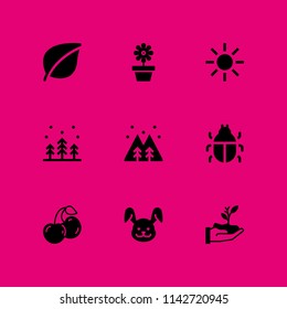 spring icon set. leaf, forest and flower vector icon for graphic design and web