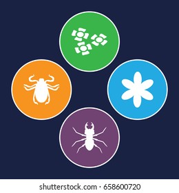 Spring icons set. set of 4 spring filled icons such as beetle