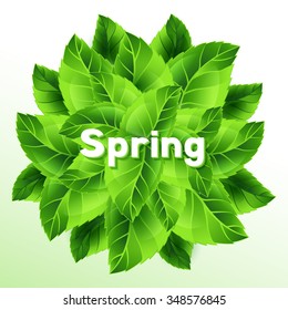 Spring illustration with bunch of green leaves. Card template or ecology concept floral design for packaging, greeting cards and advertising. 