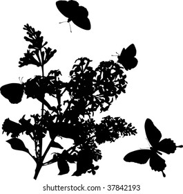 spring illustration with butterflies and flowers