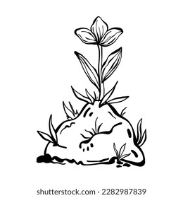 Spring illustration. Coloring. Flower growing out of the ground. doodle vector. Summer flower in the soil. doodle illustration. Sprouts, garden, flowers. Isolated on white background.
