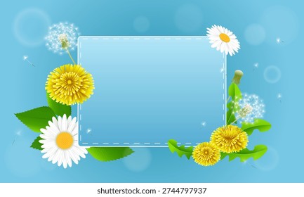 Spring Illustration Dandelion Chamomile Background