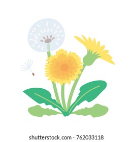 Spring illustration flowers