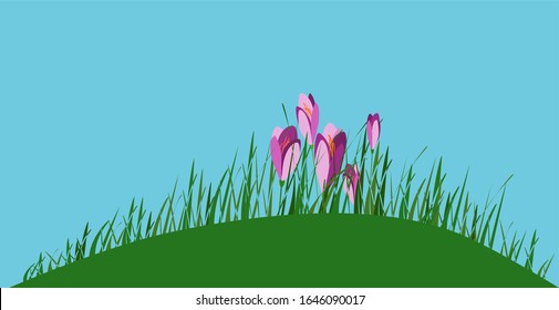 Spring illustration with a grass hill and flowers