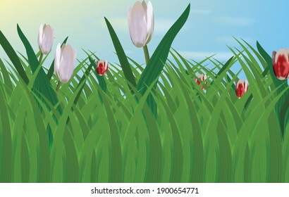 
ilustración de primavera pasto verde de cerca, tulipanes blancos y rojos crecen en la hierba