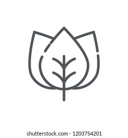 spring illustration icon