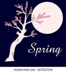 Frühlingsgrafik von Sakura auf Mondhintergrund
