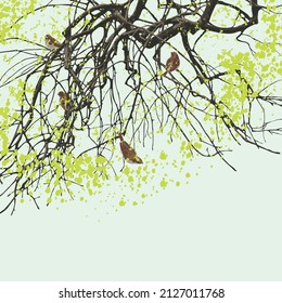 Spring illustration with small birds on tree branches with young green foliage. Abstract vector banner with green leaves in form of spots on a branches. Beautiful nature background