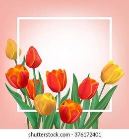 Spring illustration with tulips.
