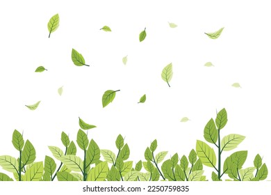 Spring illustration. Vector green leaves flying in the wind