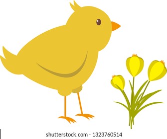 
spring illustration yellow chicken