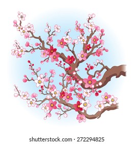 Spring image with blossoming sakura branches on a blue sky background