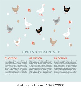 Spring infographics background, card with hens, goose and colorful Easter eggs. Vector illustration template, web banner. Birds, farm animals concept. Modern flat design.