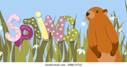 Spring. The inscription on a light background. Trendy trendy background. Groundhog Day horizontal banner. Spring meeting. Cute character marmot rodent.