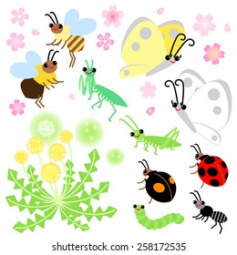 Spring of insects and flowers