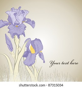 spring iris flower on brown background