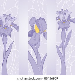 spring iris flower in pink ribbons
