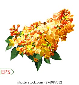 Spring isolate lilac flower for the design. Vector illustration. EPS