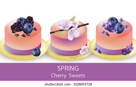 Spring jelly desserts Vector. Fresh Fruits blueberry, cherry flowers decors
