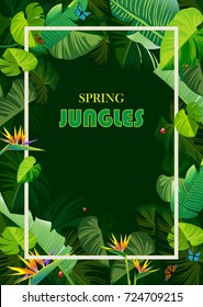 spring jungles backgrounds vectors